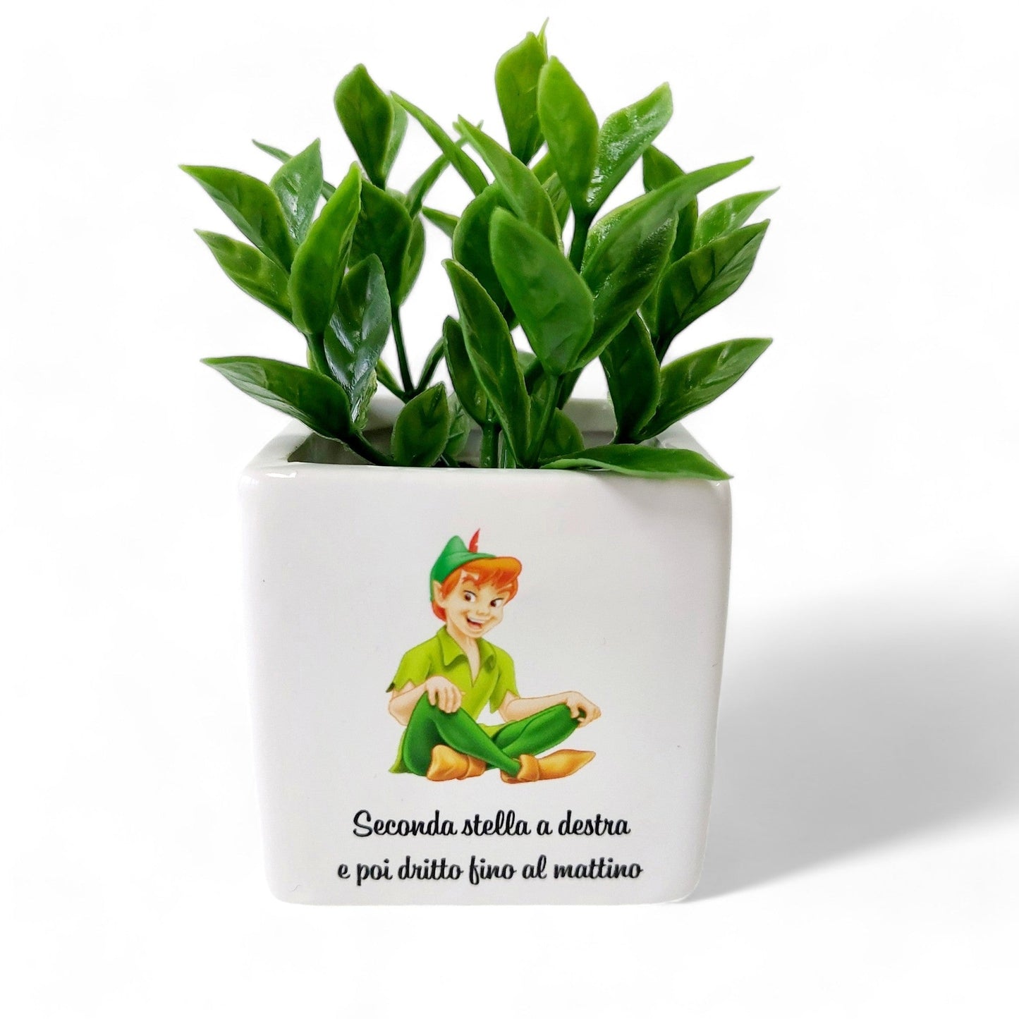 Vasetto in tema Peter Pan