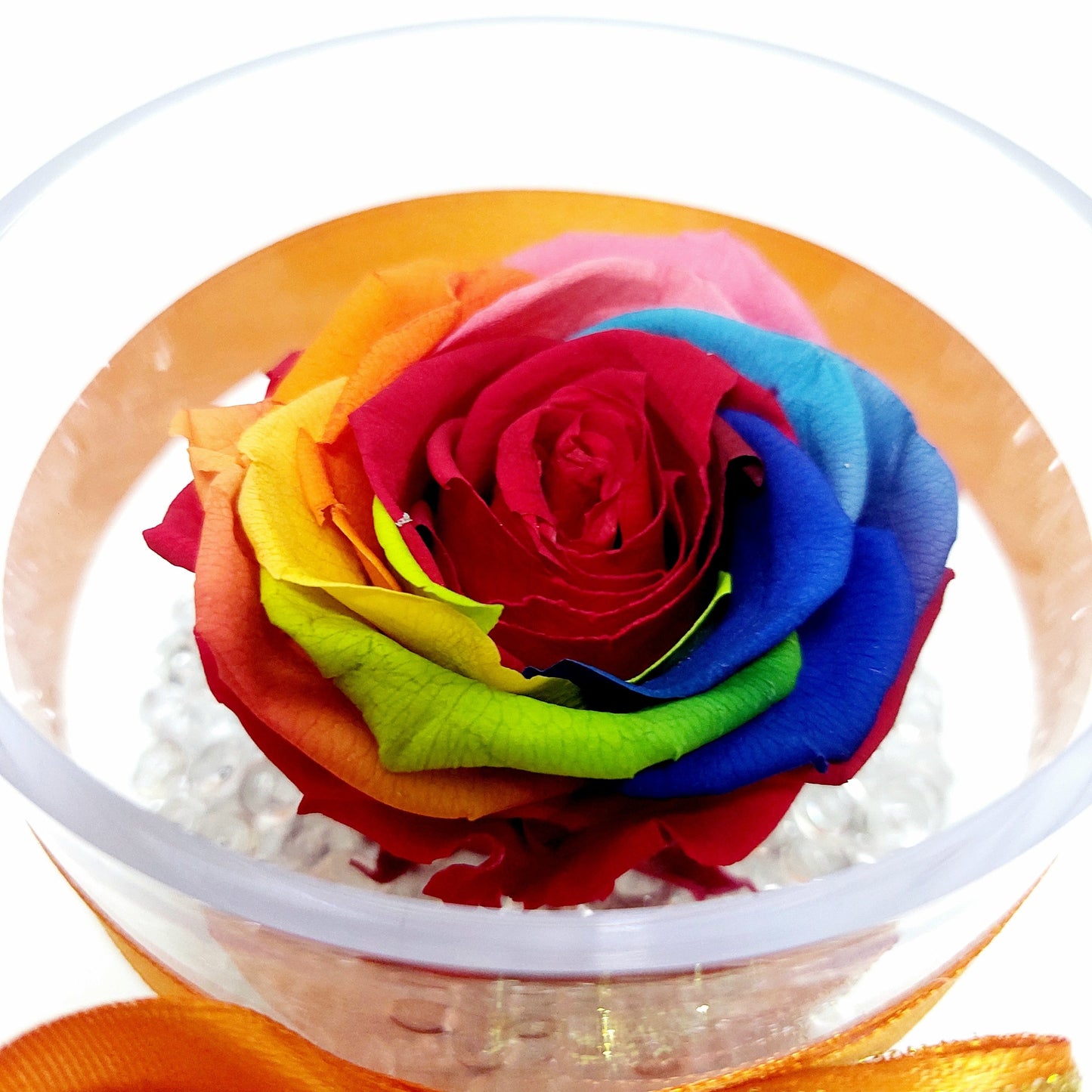 Rosa stabilizzata in cofanetto di plexiglass