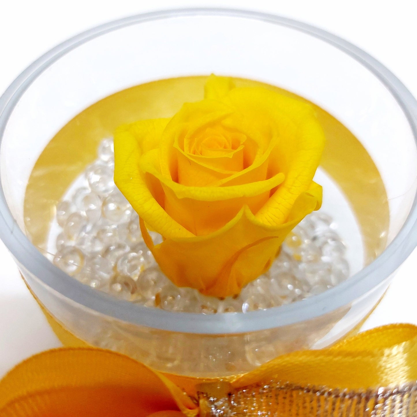 Rosa stabilizzata in cofanetto di plexiglass