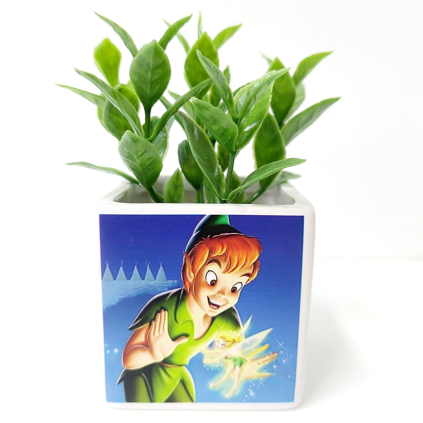 Vasetto in tema Peter Pan