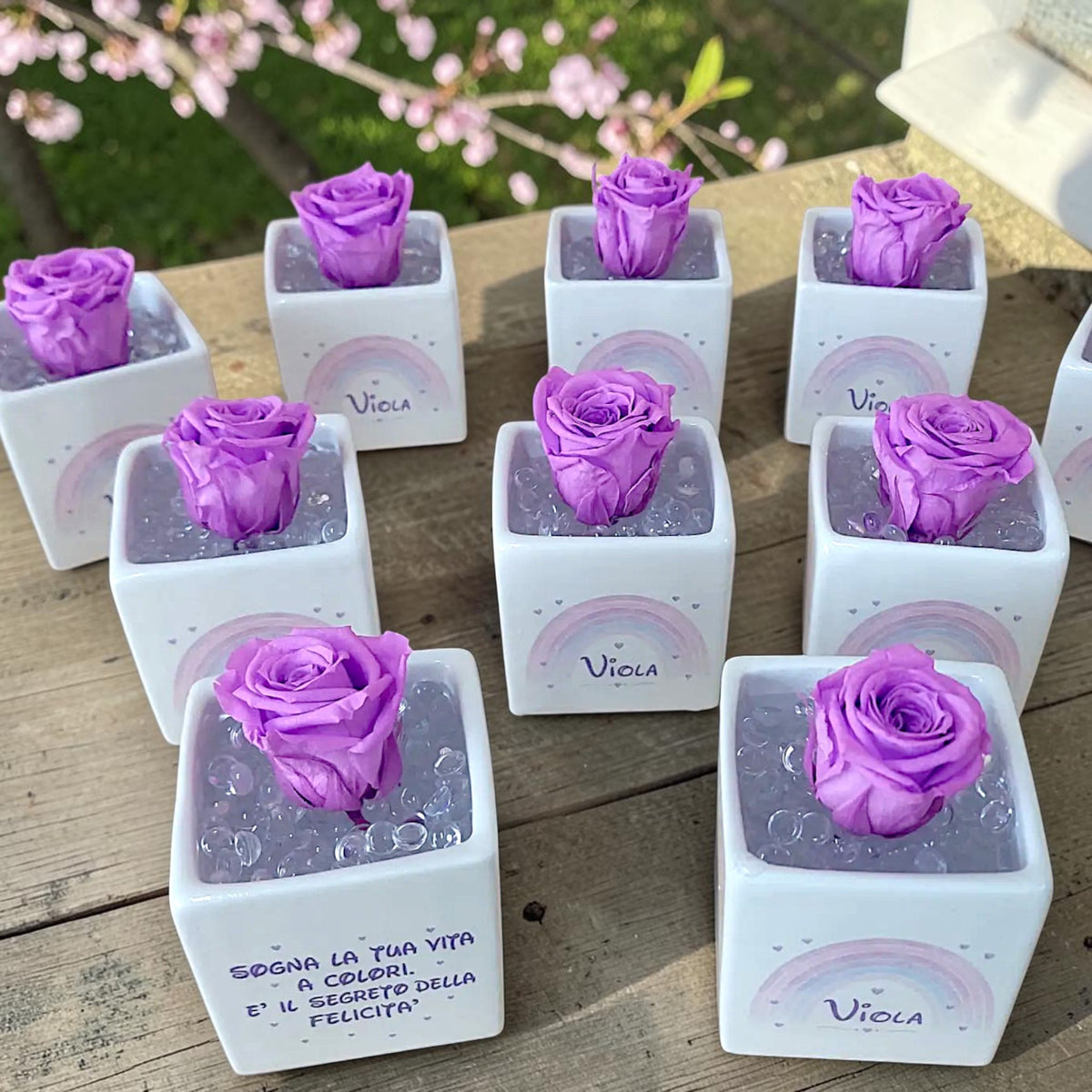 Vasetto a tema arcobaleno con rosa stabilizzata